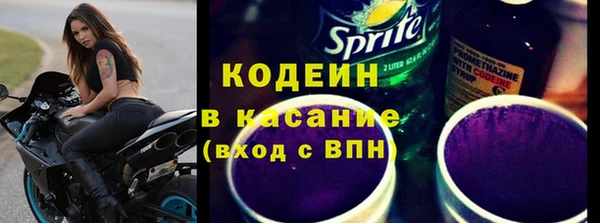 прущие грибы Аркадак