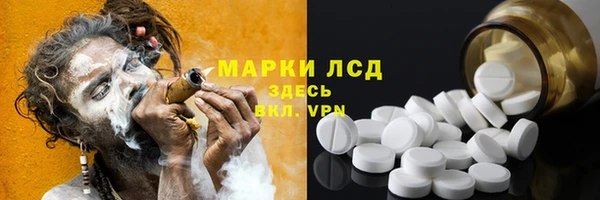 прущие грибы Аркадак