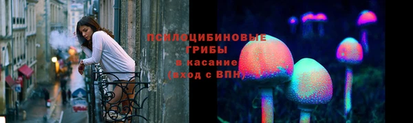 молекула духа Алексеевка