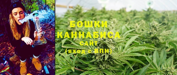 прущие грибы Аркадак