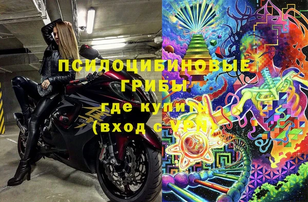 прущие грибы Аркадак