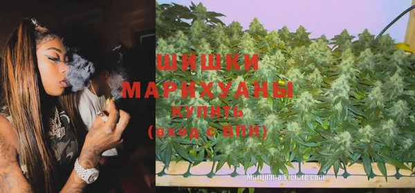 прущие грибы Аркадак
