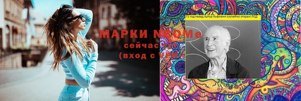 прущие грибы Аркадак