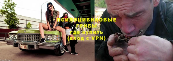 прущие грибы Аркадак