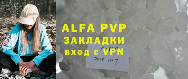 прущие грибы Аркадак